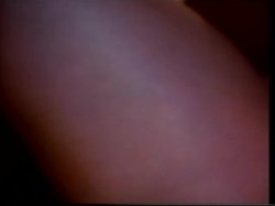 Captura de 'Swedish Erotica Volume Five' nº 98