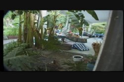 Captura de 'Video Adventures of Peeping Tom 9' nº 66