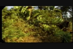 Captura de 'Video Adventures of Peeping Tom 9' nº 88