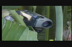 Captura de 'Video Adventures of Peeping Tom 9' nº 93