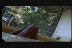 Captura de 'Video Adventures of Peeping Tom 9' nº 107