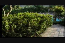 Captura de 'Video Adventures of Peeping Tom 9' nº 16