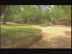 Captura de 'Kruger Park' nº 37