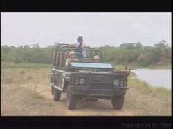 Captura de 'Kruger Park' nº 41