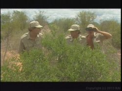 Captura de 'Kruger Park' nº 123