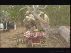 Captura de 'Kruger Park' nº 125