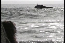 'Deep Inside Racquel Darrian' screenshot nº 39