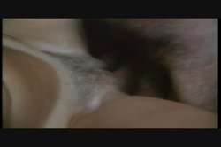 'Nina Hartley Non-Stop' screenshot nº 19