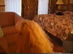 Captura de 'Bob's Videos #137 - Is Taylor St. Clair Married?' nº 120