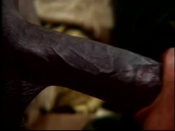 'Black Cherry CoEds 19' screenshot nº 29