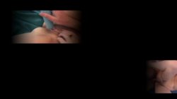 Captura de 'Hairy Honies 45' nº 2