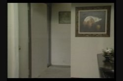 'Ginger Lynn Non Stop' screenshot nº 139