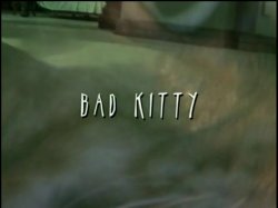 'Bad Kitty' screenshot nº 1