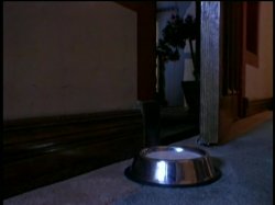 'Bad Kitty' screenshot nº 26