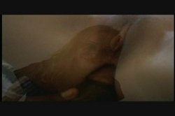 Captura de 'There's Something About Jack 8' nº 138