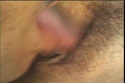 Captura de 'Latin Eye Candy 5' nº 127