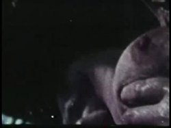 Captura de 'Softcore Nudes 620: Big Boob Bonanza Rated Hard R '60s & '70s (All Color)' nº 35