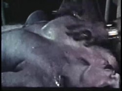 Captura de 'Softcore Nudes 620: Big Boob Bonanza Rated Hard R '60s & '70s (All Color)' nº 43