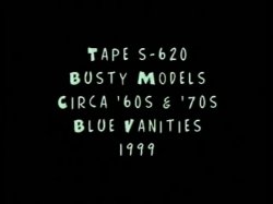 Captura de 'Softcore Nudes 620: Big Boob Bonanza Rated Hard R '60s & '70s (All Color)' nº 1