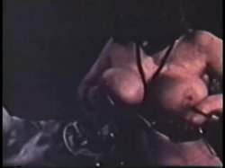 Captura de 'Softcore Nudes 620: Big Boob Bonanza Rated Hard R '60s & '70s (All Color)' nº 14