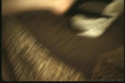 Captura de 'Seymore Butts' Female Ejaculation Review' nº 71