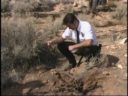 'Sweet Water' screenshot nº 8