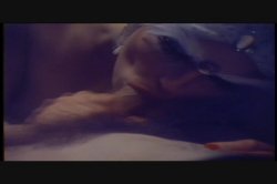 'People' screenshot nº 73
