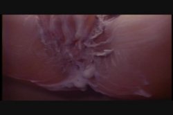 'People' screenshot nº 9