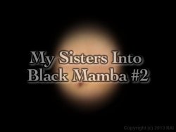 'Black Mamba 2' screenshot nº 2