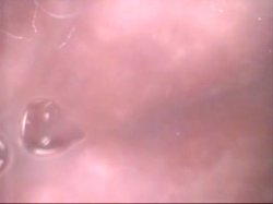 Captura de 'Debut 24' nº 65