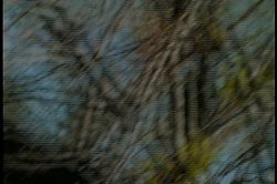 Captura de 'Creating Kate' nº 51