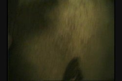 Captura de 'All Natural 4' nº 81