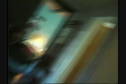 Captura de 'All Natural 4' nº 82