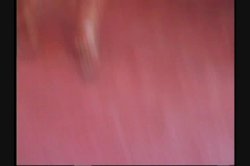 Captura de 'All Natural 4' nº 85