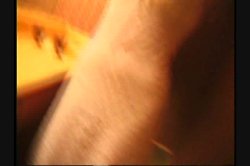 Captura de 'All Natural 4' nº 3
