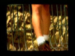 'Hardwood/Hot Copy Double Feature' screenshot nº 4