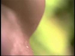 'Hardwood/Hot Copy Double Feature' screenshot nº 82