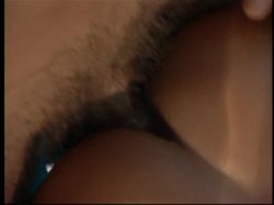 'Hardwood/Hot Copy Double Feature' screenshot nº 90