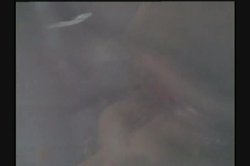 'Young Racquel Darrian' screenshot nº 68