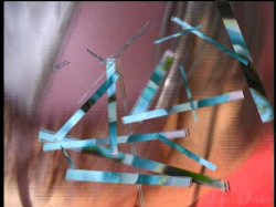 'Chunky Chicks 8' screenshot nº 39