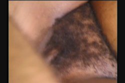 Captura de 'Black Mature Women 2' nº 83