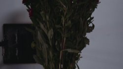 Captura de 'Forbidden Affairs 11: Older Woman, Younger Guy' nº 90