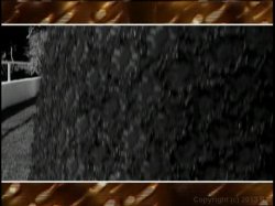 Captura de 'Up Your Ass 8' nº 31
