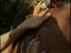 Captura de 'Up Your Ass 8' nº 15