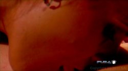 'Pure Pleasure Vol. 1' screenshot nº 108