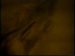 Captura de 'Raw Vol. 1' nº 37