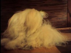 Captura de 'Autobiography of a Flea' nº 3