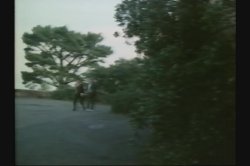 Captura de 'Coming Of Angels Triple Feature, A' nº 95