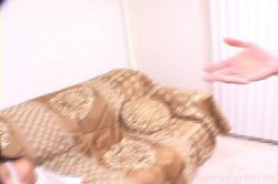 'Hairy Asian Girls' screenshot nº 50