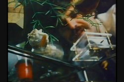 'Ecstasy In Blue' screenshot nº 105